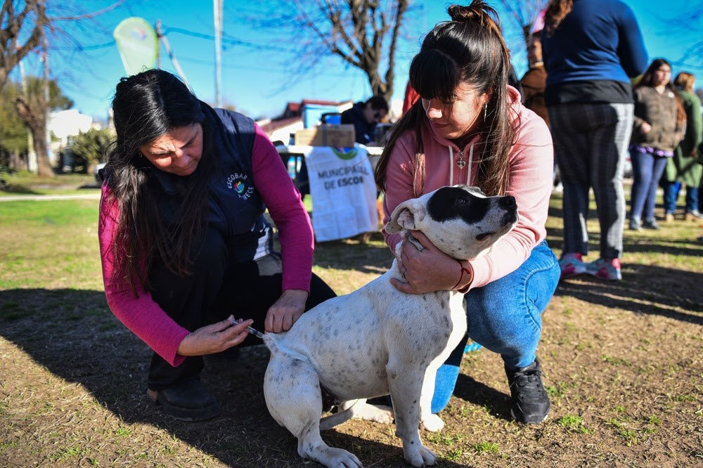 NOTICIAS ESCOBARCentro de Zoonosis: un modelo de salud pública que salva, cuida y transforma la vida de los animales